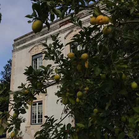 Casa Beija Flor Ortencias Guest house Mogofores