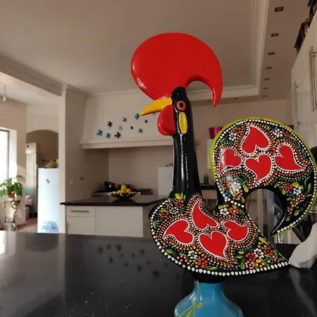 Casa Beija Flor Ortencias 3* Mogofores