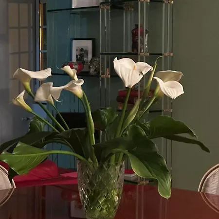 Guest house Casa Beija Flor Ortencias 3*