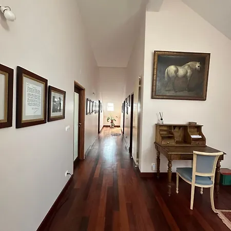 Casa Beija Flor Ortencias Guest house Mogofores