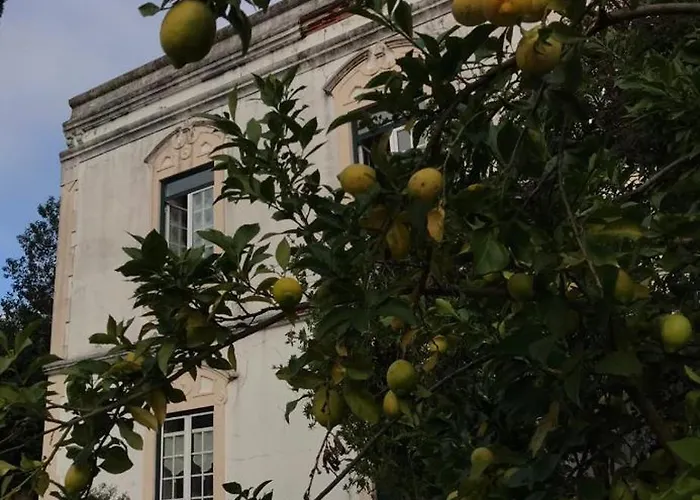 Casa Beija Flor Ortencias 招待所 Mogofores