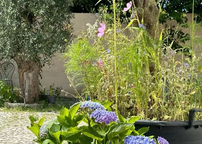 Casa Beija Flor Ortencias Mogofores